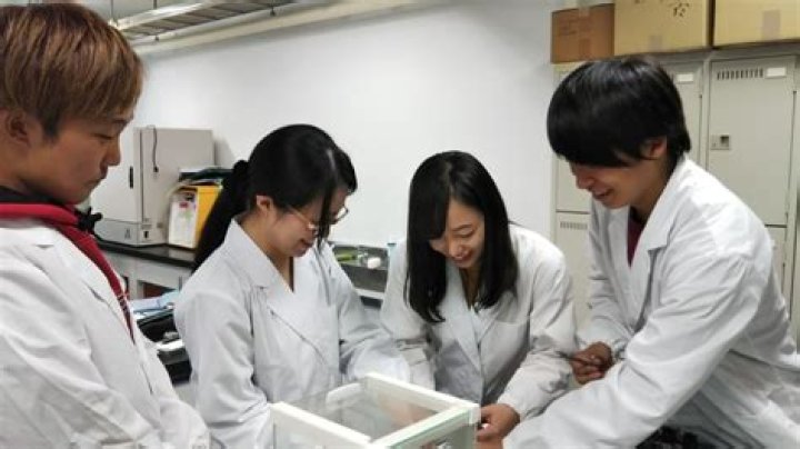 桜と梁、数字で確かめる家づくり｜サイエンス ホーム 鹿児島の実像